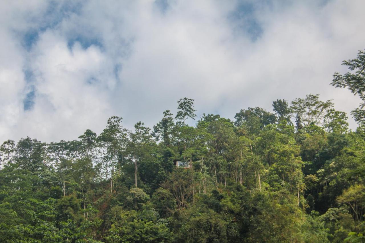 Tree Houses By Jungle River Ginigathena エクステリア 写真
