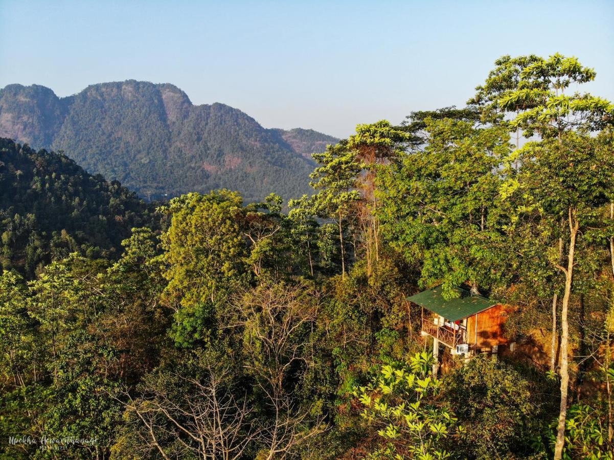 Tree Houses By Jungle River Ginigathena エクステリア 写真