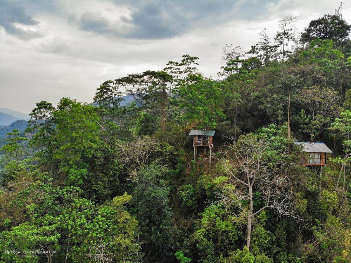 Tree Houses By Jungle River Ginigathena エクステリア 写真