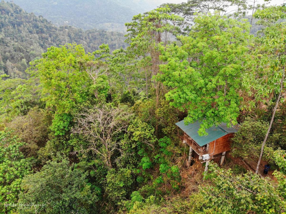 Tree Houses By Jungle River Ginigathena エクステリア 写真