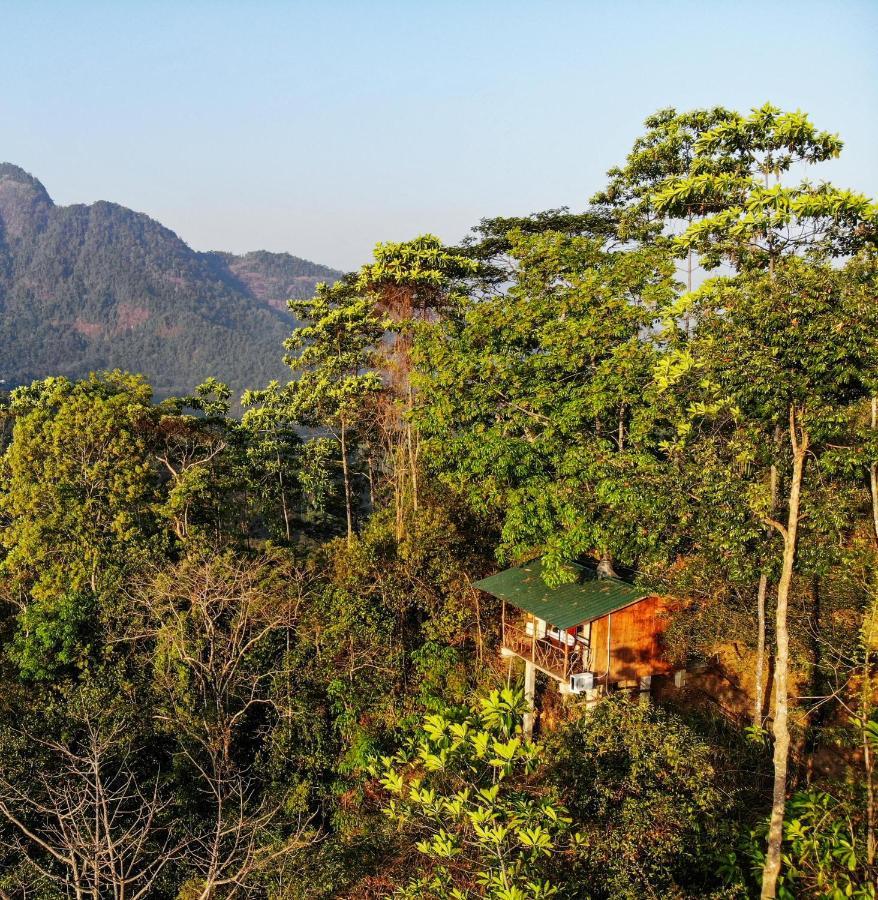 Tree Houses By Jungle River Ginigathena エクステリア 写真